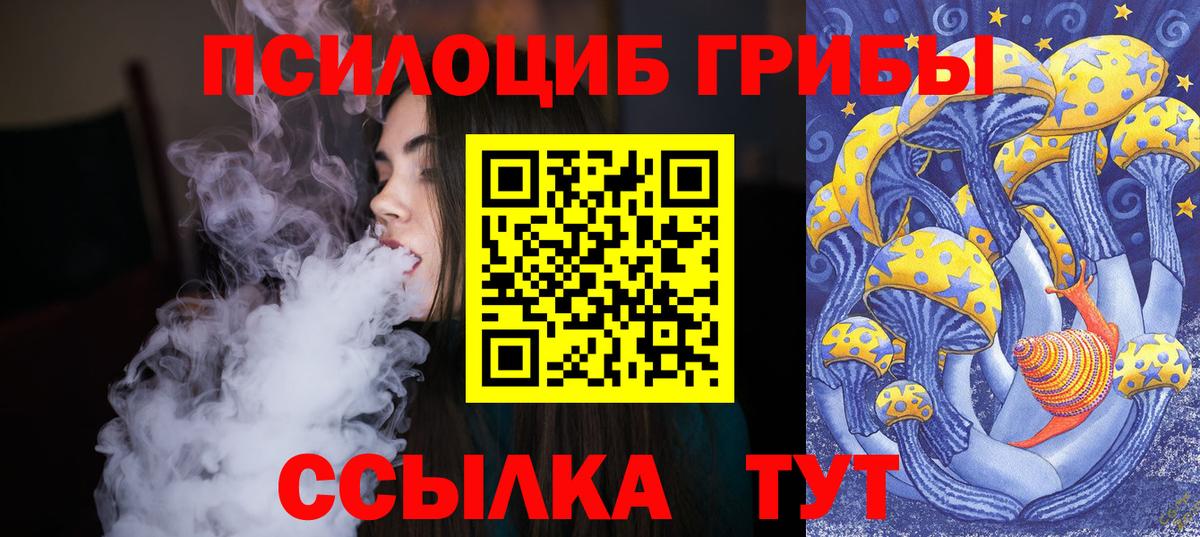 Галлюциногенные грибы Psilocybine cubensis Бердск