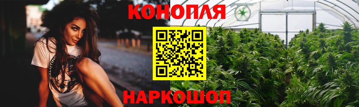 Канабис ГИДРОПОН Бердск